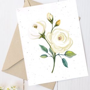 Carte de souhaits à planter Rose blanche 5