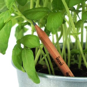 Crayons à Planter Sprout / Basilic