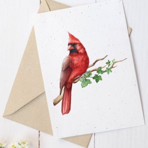 Carte en papier à planter- Cardinal