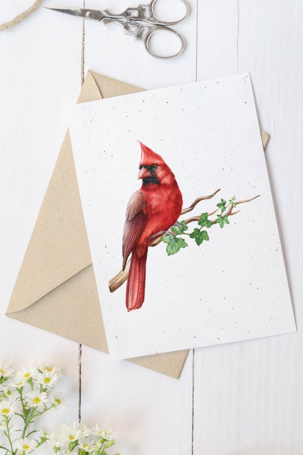 Carte en papier à planter- Cardinal
