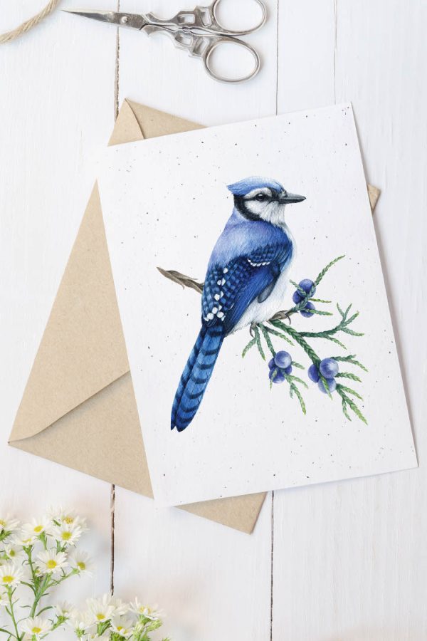 Carte en papier à planter- Geai bleu